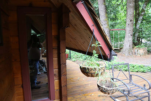 Gary's Cabin-7591