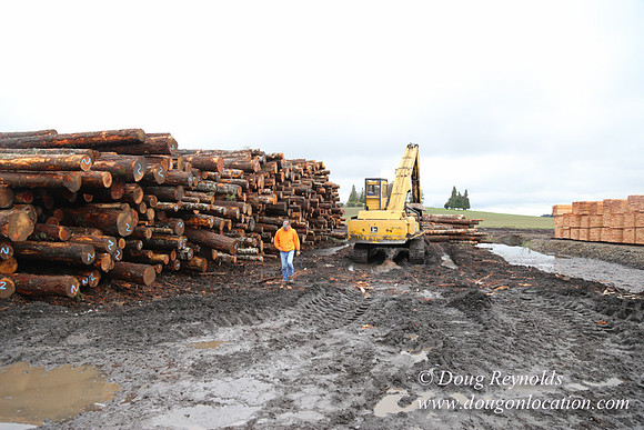 Saw Mill and Lumber Yard