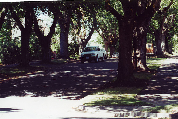 Randum Portland