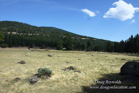 Ranch 18 South side of Hwy  has 2500 Acres of green fields Creeks water crossing Bridges on a Large Lake and miles of Dirt roads Oak trees  Forest land ATV Trails cows