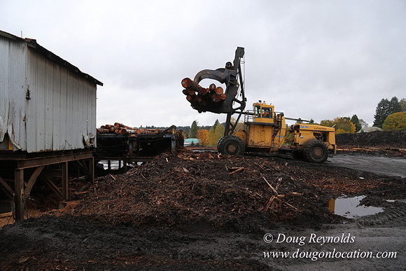 Saw Mill and Lumber Yard