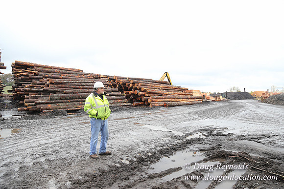 Saw Mill and Lumber Yard