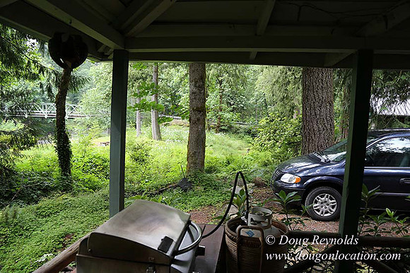 Small, Cabin, Home, River, OR, Oregon, Green, Yard,