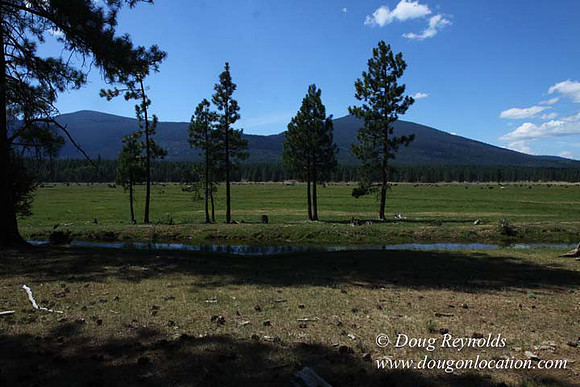 Ranch 18 South side of Hwy  has 2500 Acres of green fields Creeks water crossing Bridges on a Large Lake and miles of Dirt roads Oak trees  Forest land ATV Trails cows