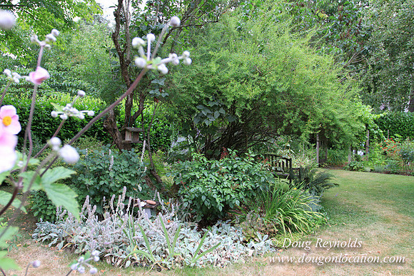 Laura’s Home This is a Portland Bungalow Style small home with a average sized and interesting back yard, nice garden with bee hive’s