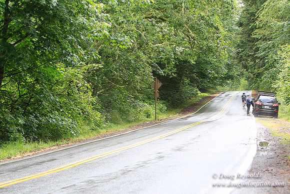 Brower Rd