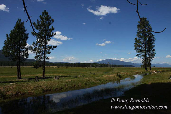 Ranch 18 South side of Hwy  has 2500 Acres of green fields Creeks water crossing Bridges on a Large Lake and miles of Dirt roads Oak trees  Forest land ATV Trails cows