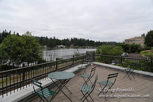 Oswego Market-6539