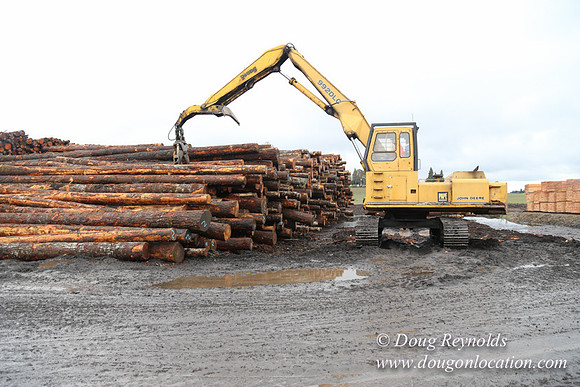 Saw Mill and Lumber Yard
