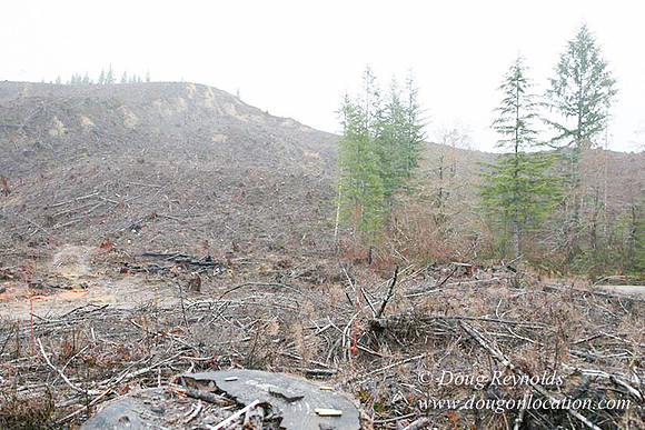 WC Clear Cut 2010-7830