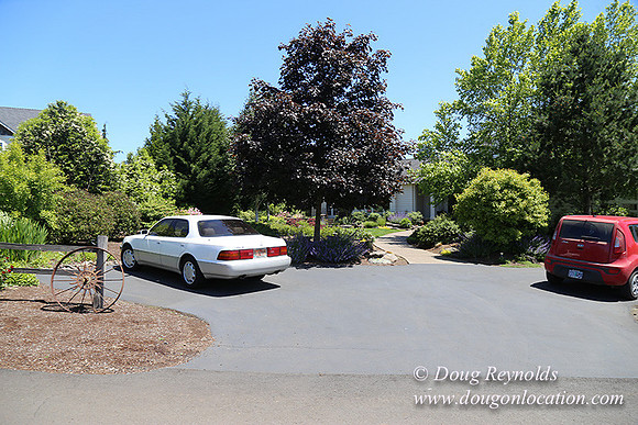 Scotts House-5374
