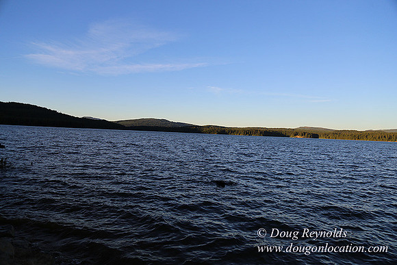 Timathy Lake-3898