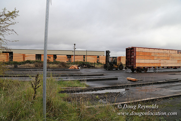 Saw Mill and Lumber Yard