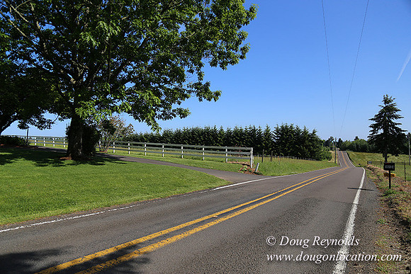 "2 Barns", "2 car garage", "40+ Acres", "PDX Zone", Pool, "White Fence", cows, "farm House", "rap around dive", "well maintained"