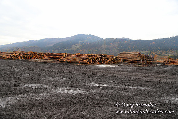 SDS Lumber-1452
