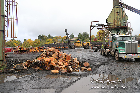 Saw Mill and Lumber Yard