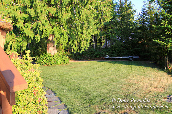 Boat, Cabin, Dock, "Doug's House lake", Home, WA, Washington, Yard, deck, "green. Beach"
