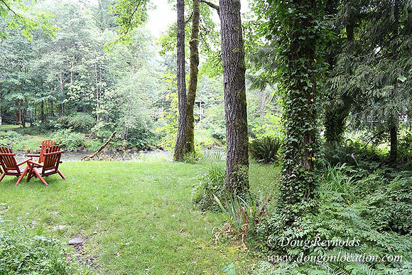 Small, Cabin, Home, River, OR, Oregon, Green, Yard,