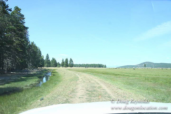 Ranch 18 South side of Hwy  has 2500 Acres of green fields Creeks water crossing Bridges on a Large Lake and miles of Dirt roads Oak trees  Forest land ATV Trails cows