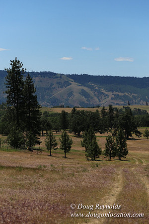 Brothers Ranch-8430