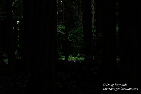Larch Mt Rd