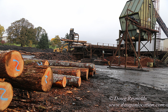 Saw Mill and Lumber Yard