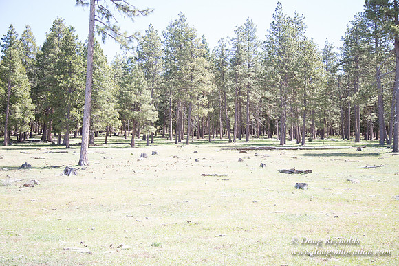 Ranch 18