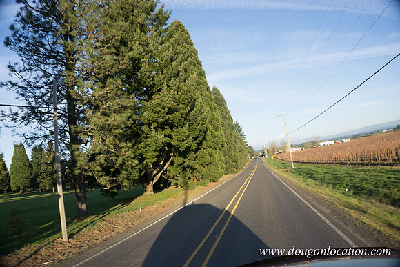 Kelso Rd W Driving E-3994