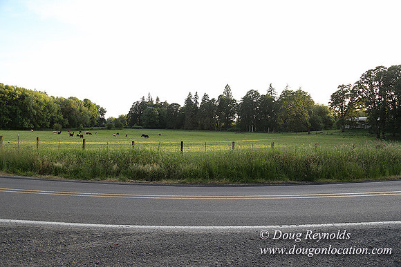 Mountaindale Rd-6410