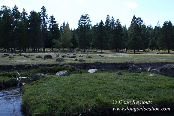 Ranch 18 South side of Hwy  has 2500 Acres of green fields Creeks water crossing Bridges on a Large Lake and miles of Dirt roads Oak trees  Forest land ATV Trails cows