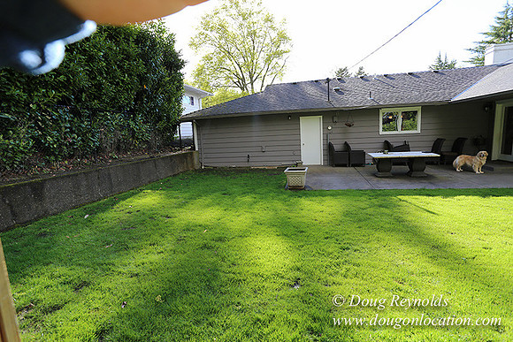 Mid Century Traditional Style Home, With a Basement, 2 car garage average sized Back Yard with Patio and Fire Pit.  New Kitchen, Family room Bathrooms and Game room