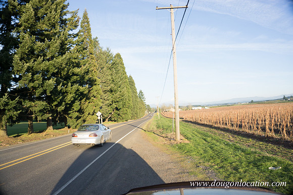 Kelso Rd W Driving E-3991