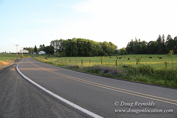 Mountaindale Rd-6419