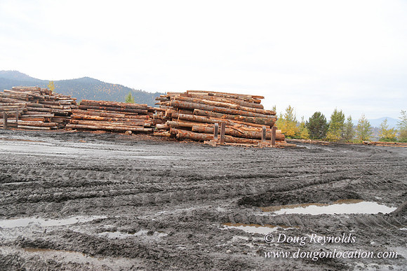 SDS Lumber-1328