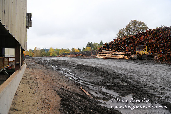 Saw Mill and Lumber Yard