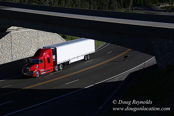 CMD Western Star Production Photo