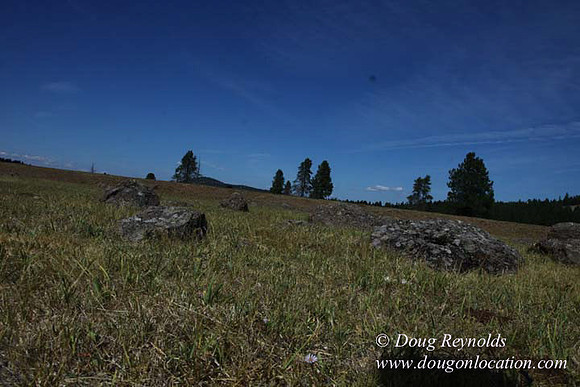 Ranch 18 South side of Hwy  has 2500 Acres of green fields Creeks water crossing Bridges on a Large Lake and miles of Dirt roads Oak trees  Forest land ATV Trails cows