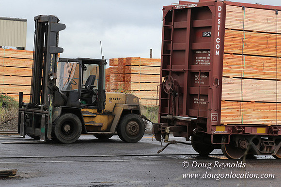Saw Mill and Lumber Yard