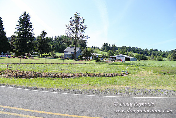 Helvetia rd at Mikes-6019