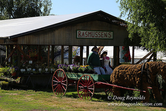 Thompson Rd Farm-8281
