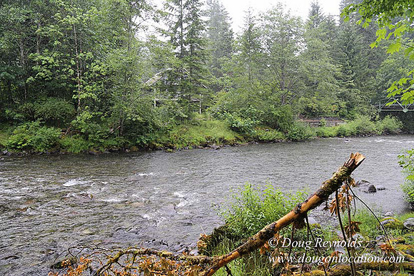 Small, Cabin, Home, River, OR, Oregon, Green, Yard,