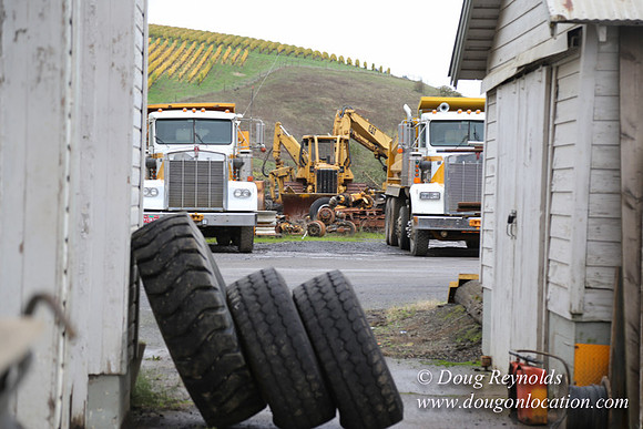 CFL Logging-0932