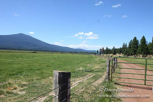 2500 Acres of green fields Creeks water crossing Bridges on a Large Lake and miles of Dirt roads Oak trees Forest land ATV Trails cows