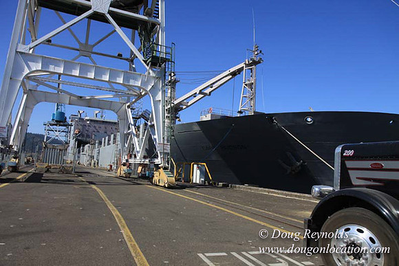 Ship Yard-0581