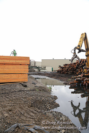 Saw Mill and Lumber Yard