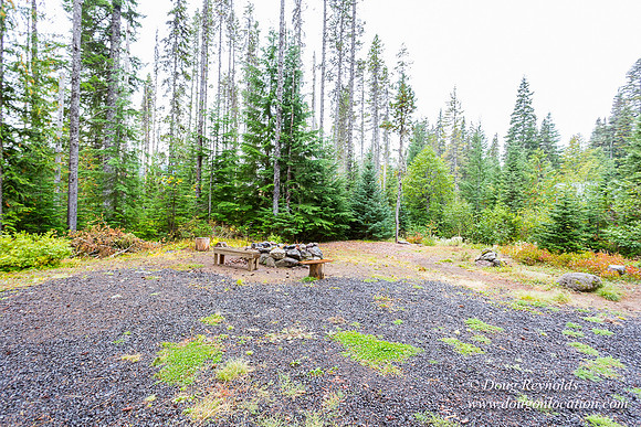 Waynes Cabin