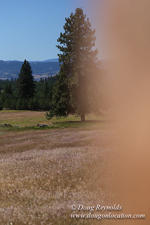 Brothers Ranch-8441