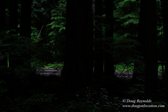 Larch Mt Rd
