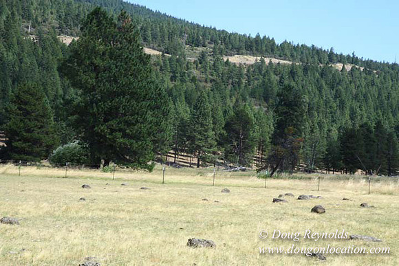 Ranch 18 South side of Hwy  has 2500 Acres of green fields Creeks water crossing Bridges on a Large Lake and miles of Dirt roads Oak trees  Forest land ATV Trails cows