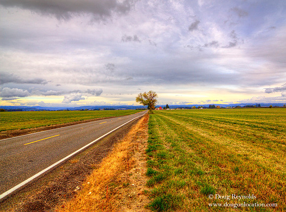 Dyke Rd
